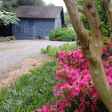 Restored1850S Log Cabin, With Gazebo And Gardens! 1 Mile To Downtown Weaverville Eksteriør bilde