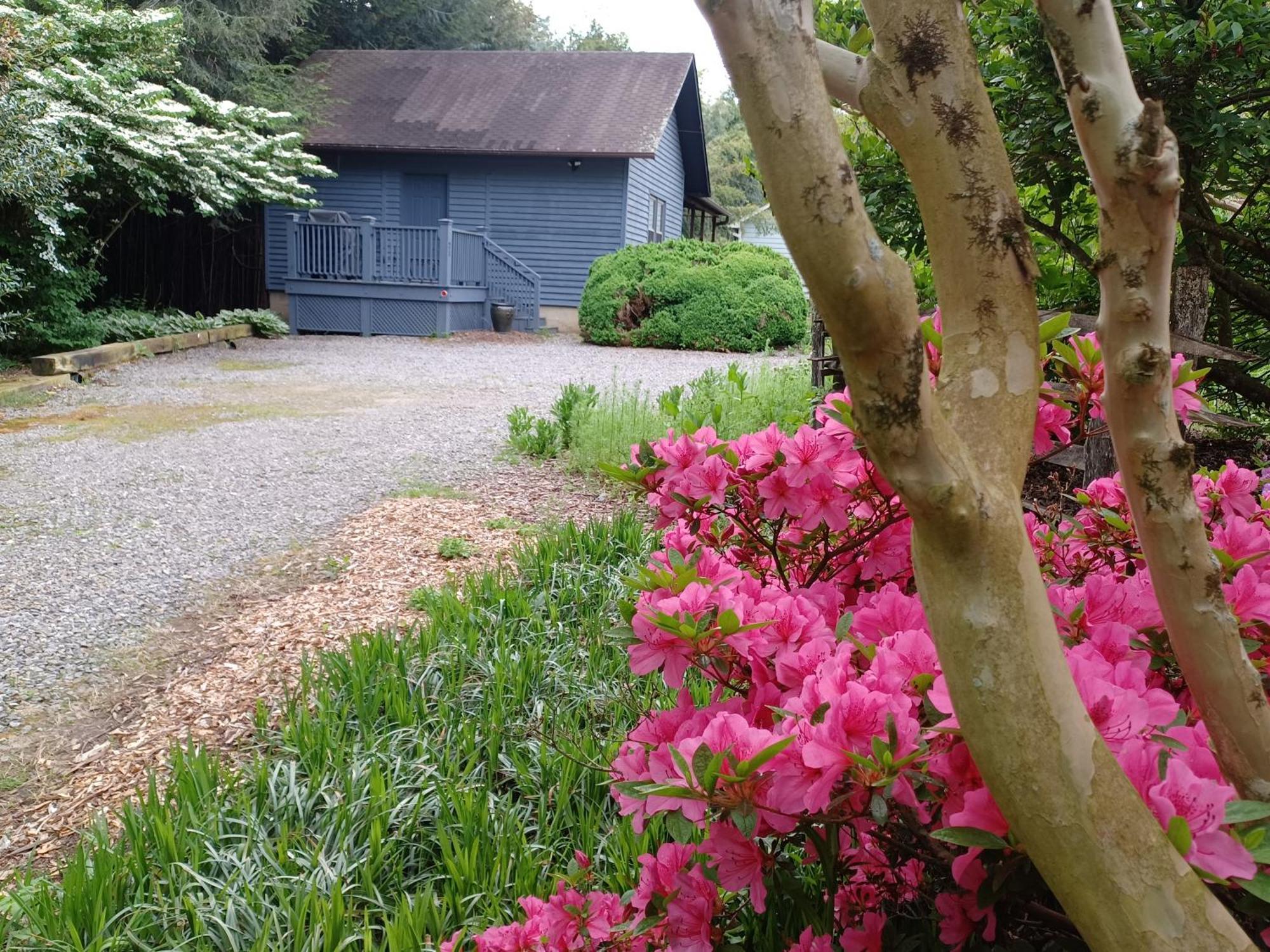 Restored1850S Log Cabin, With Gazebo And Gardens! 1 Mile To Downtown Weaverville Eksteriør bilde