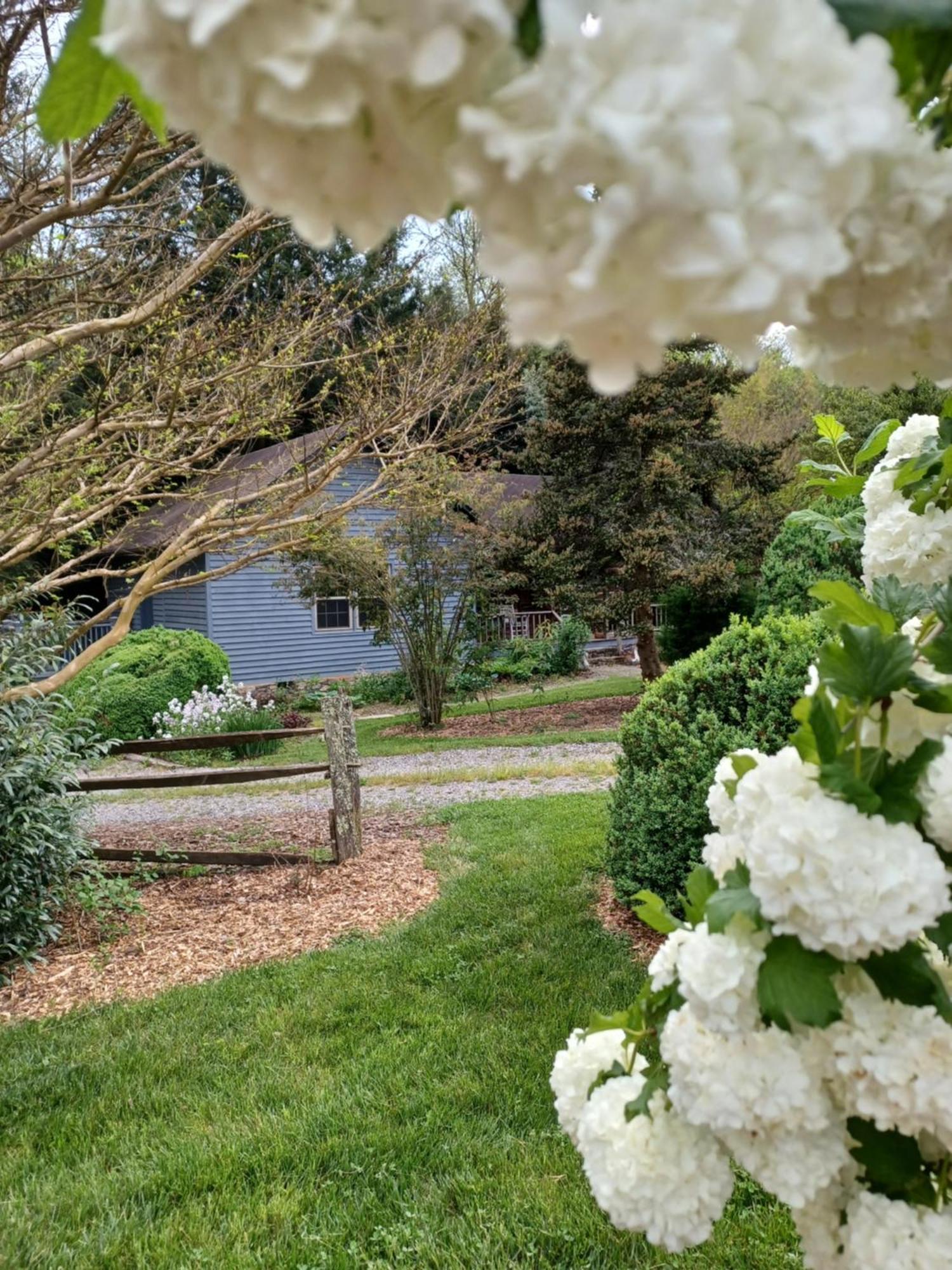 Restored1850S Log Cabin, With Gazebo And Gardens! 1 Mile To Downtown Weaverville Eksteriør bilde