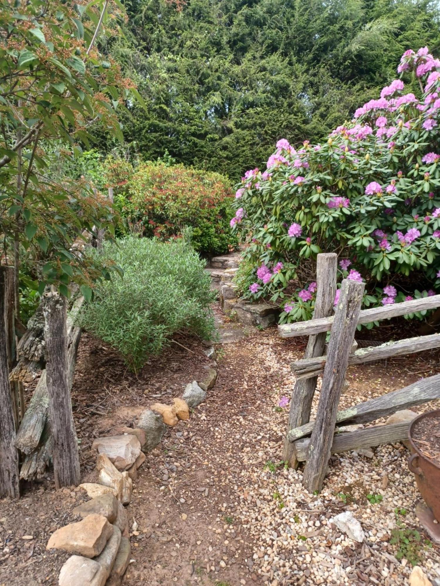 Restored1850S Log Cabin, With Gazebo And Gardens! 1 Mile To Downtown Weaverville Eksteriør bilde