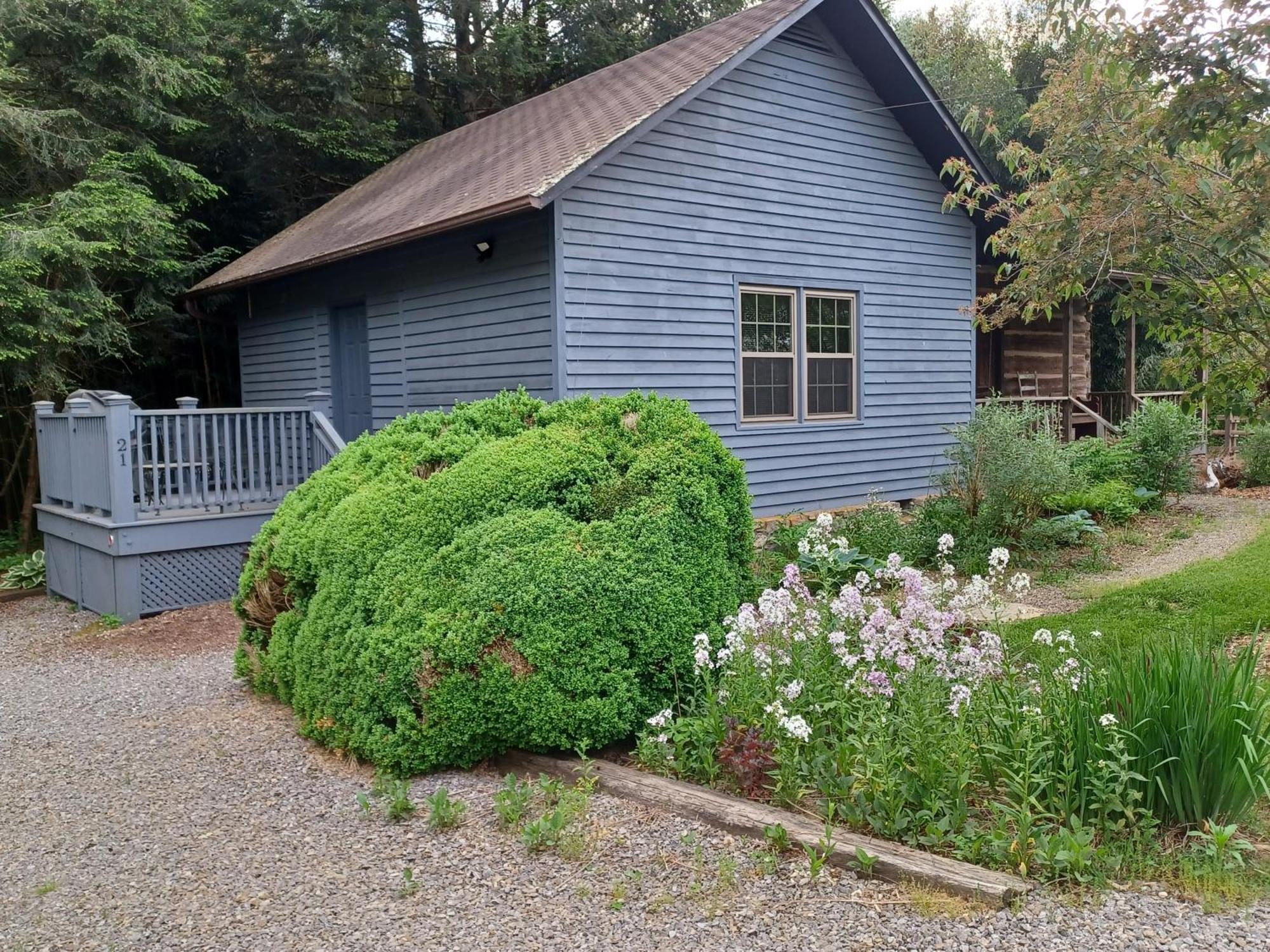 Restored1850S Log Cabin, With Gazebo And Gardens! 1 Mile To Downtown Weaverville Eksteriør bilde