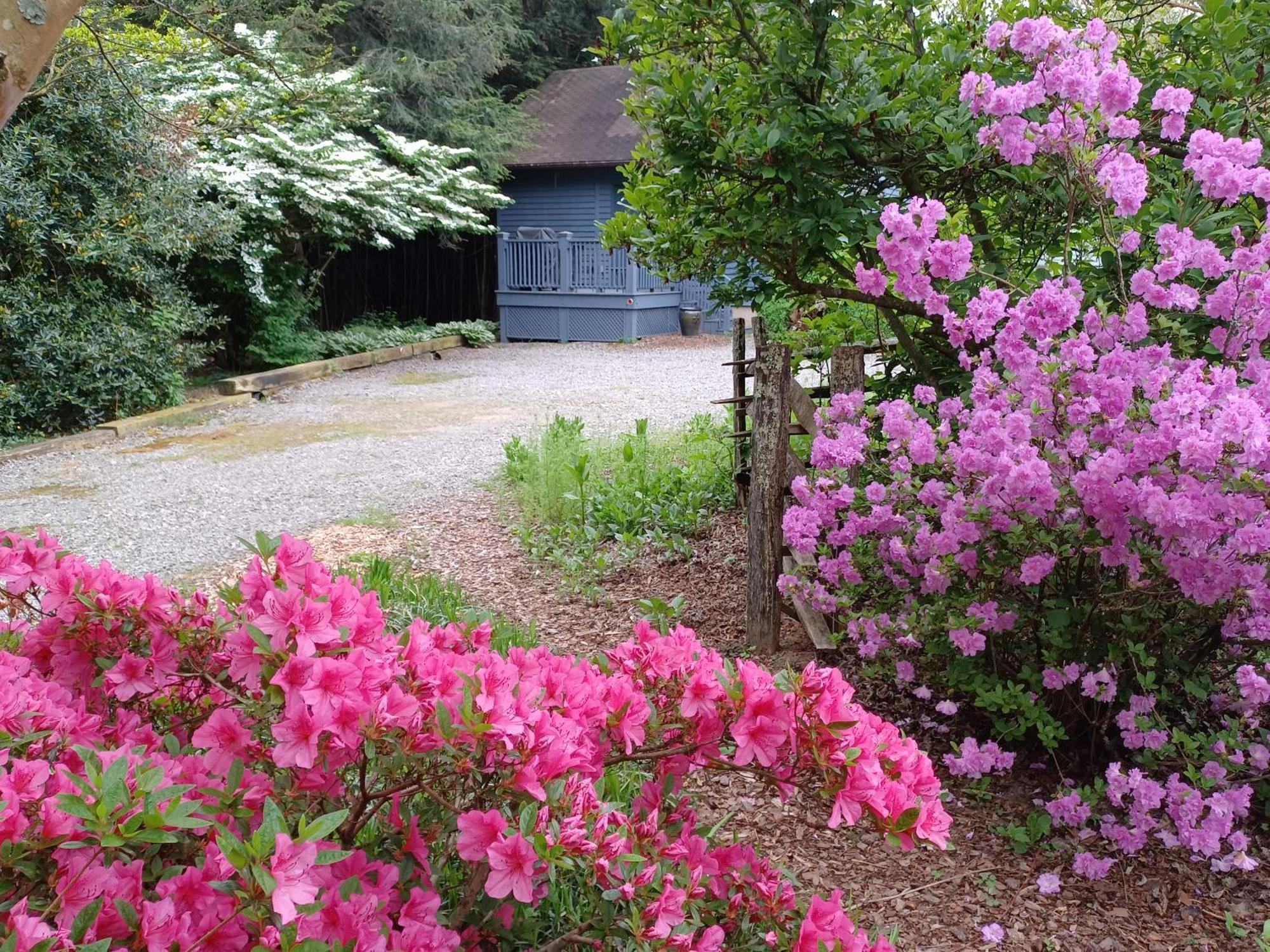 Restored1850S Log Cabin, With Gazebo And Gardens! 1 Mile To Downtown Weaverville Eksteriør bilde
