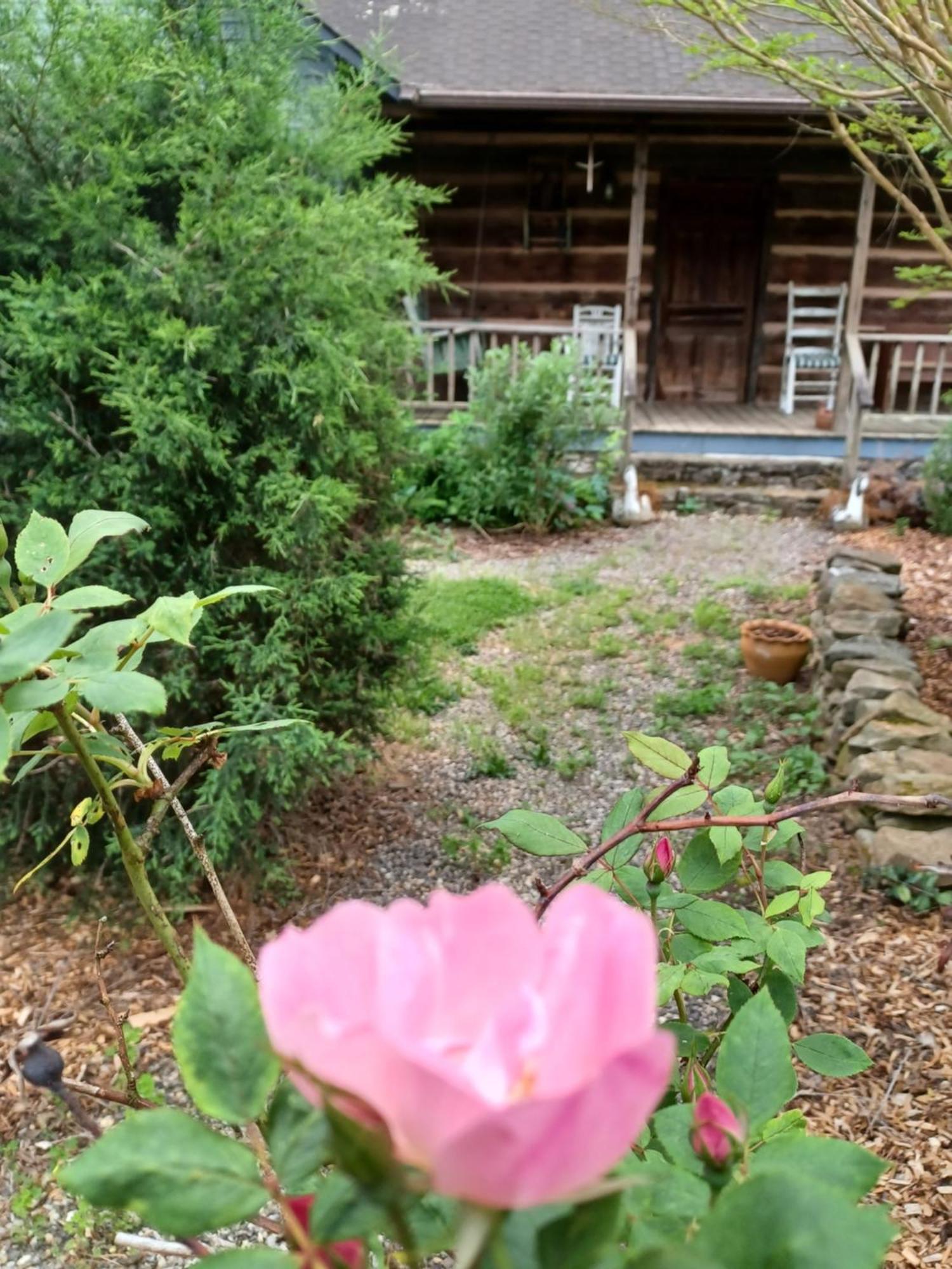 Restored1850S Log Cabin, With Gazebo And Gardens! 1 Mile To Downtown Weaverville Eksteriør bilde