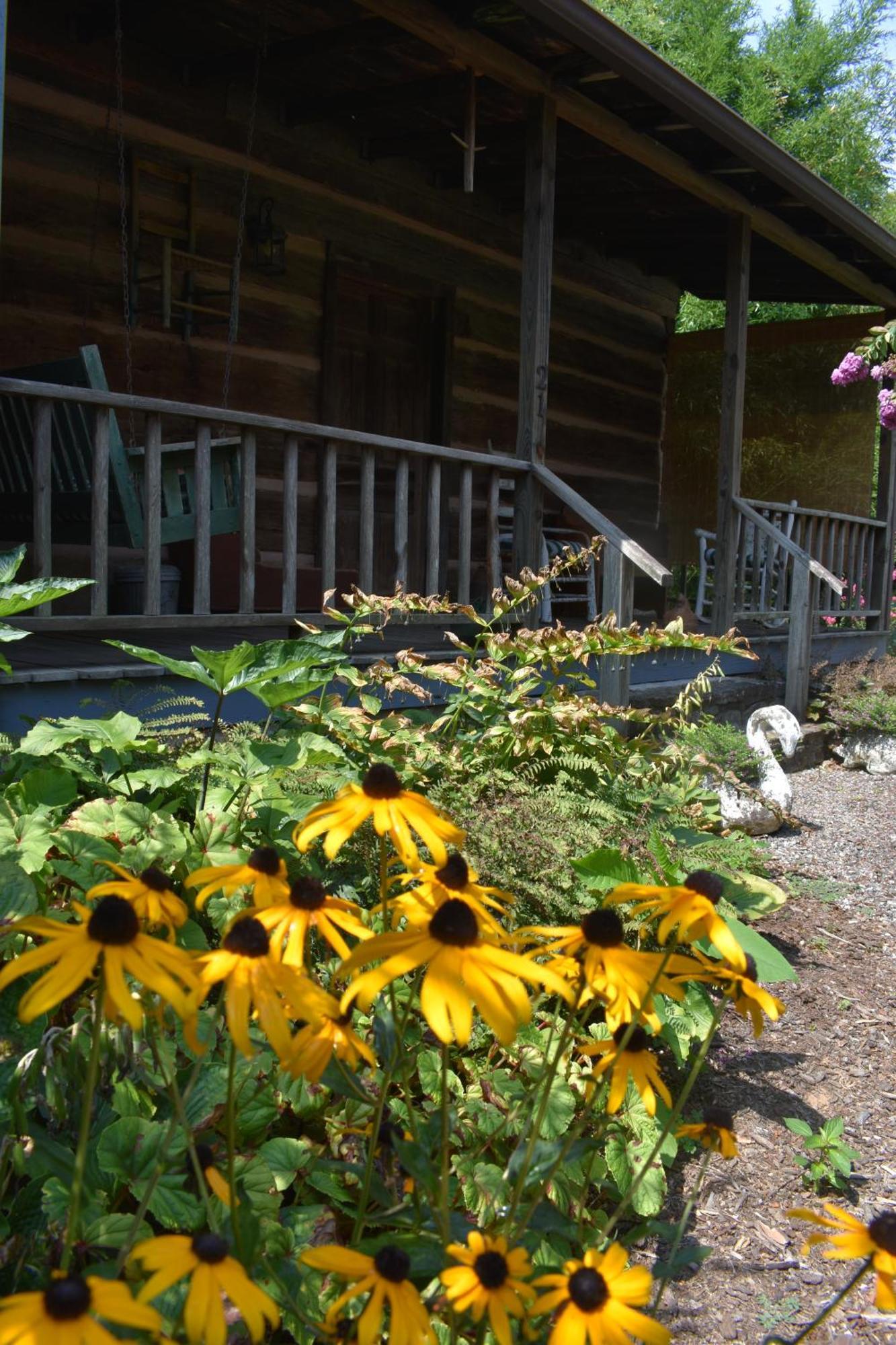 Restored1850S Log Cabin, With Gazebo And Gardens! 1 Mile To Downtown Weaverville Eksteriør bilde