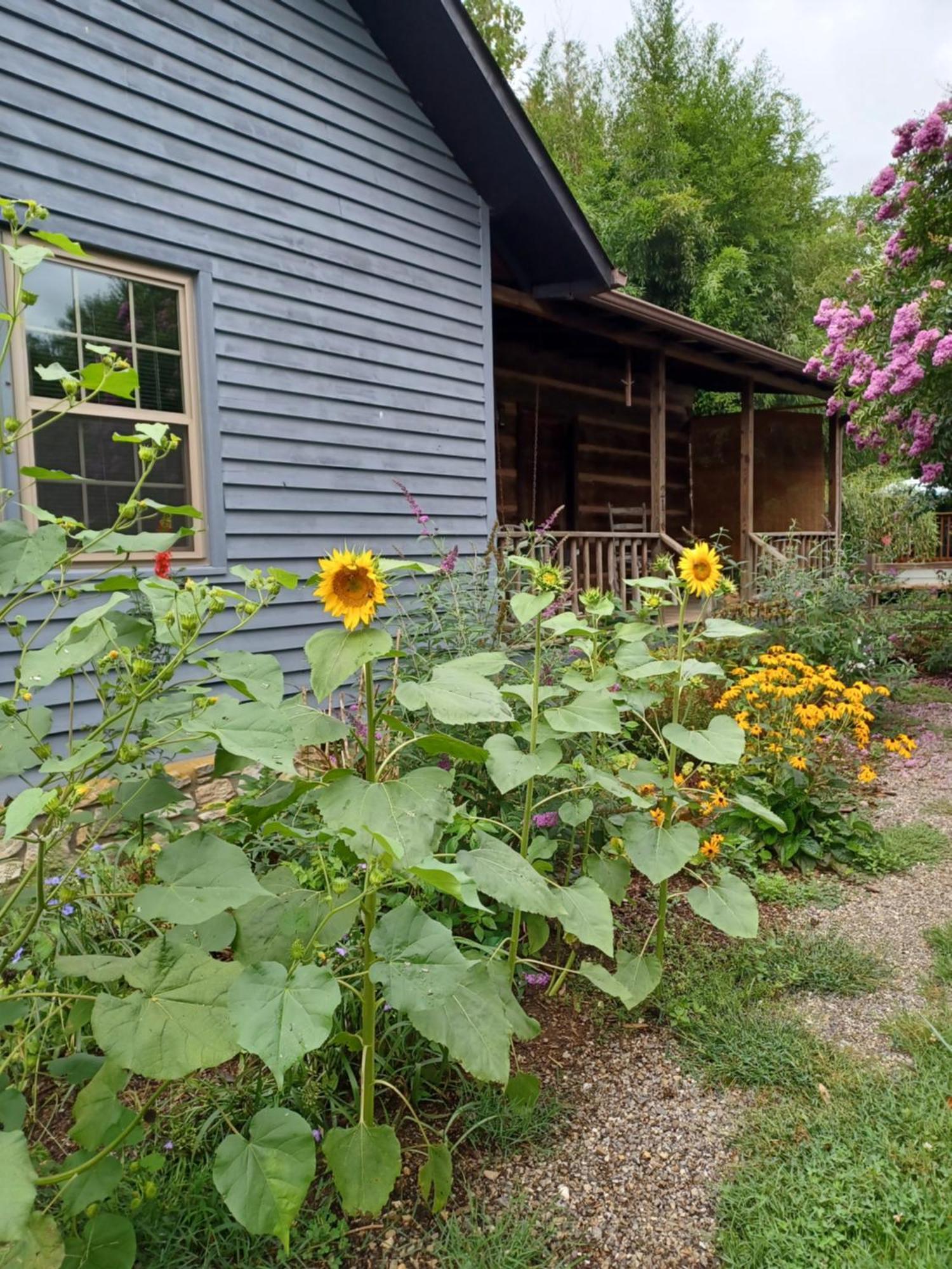 Restored1850S Log Cabin, With Gazebo And Gardens! 1 Mile To Downtown Weaverville Eksteriør bilde